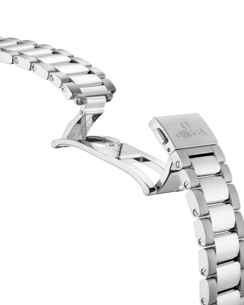Omega Seamaster Aqua Terra 150M 220.10.38.20.03.001