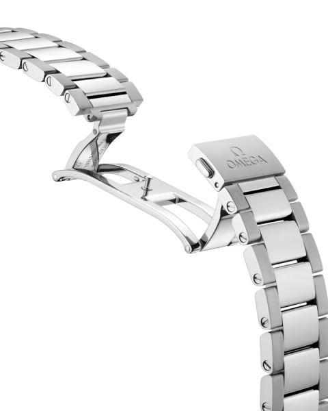 Omega Seamaster Aqua Terra 150M 220.10.38.20.03.002