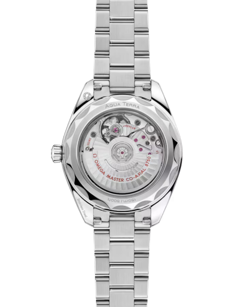 Omega Seamaster Aqua Terra 150M 220.10.30.20.02.001