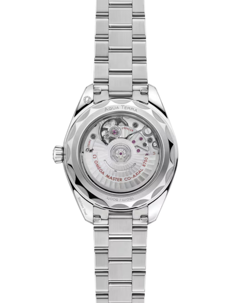 Omega Seamaster Aqua Terra 150M 220.10.30.20.55.001