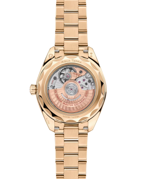 Omega Seamaster Aqua Terra 150M 220.55.30.20.55.001