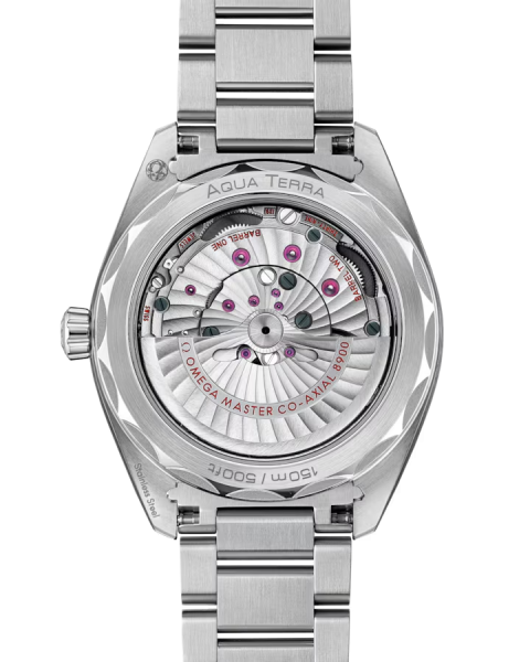 Omega Seamaster Aqua Terra 220.10.41.21.10.001