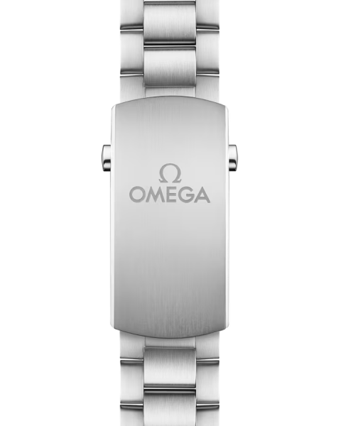 Omega Seamaster Planet Ocean 600M 215.30.44.21.04.001