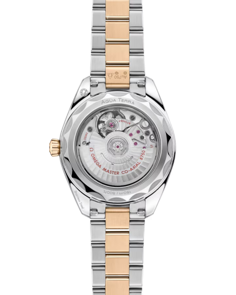 Omega Seamaster Aqua Terra 150M 220.25.30.20.55.001