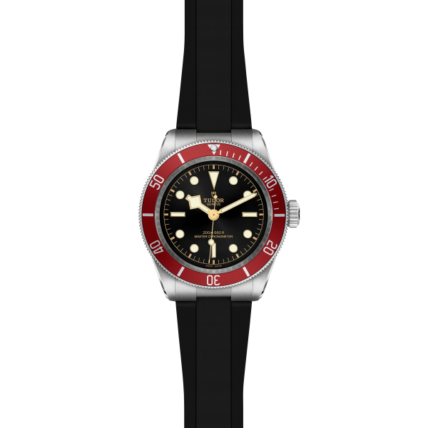Tudor Black Bay 41 M7941A1A0RU-0002