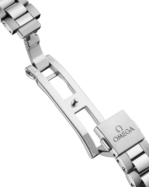 Omega Seamaster Aqua Terra 150M 220.10.30.20.02.001