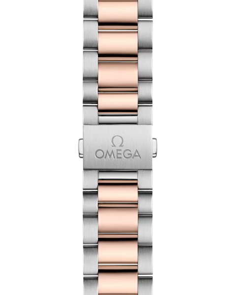 Omega Seamaster Aqua Terra 150M 220.20.41.21.02.001