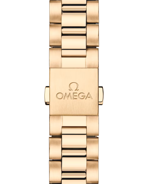 Omega Seamaster Aqua Terra 150M 220.55.30.20.55.001