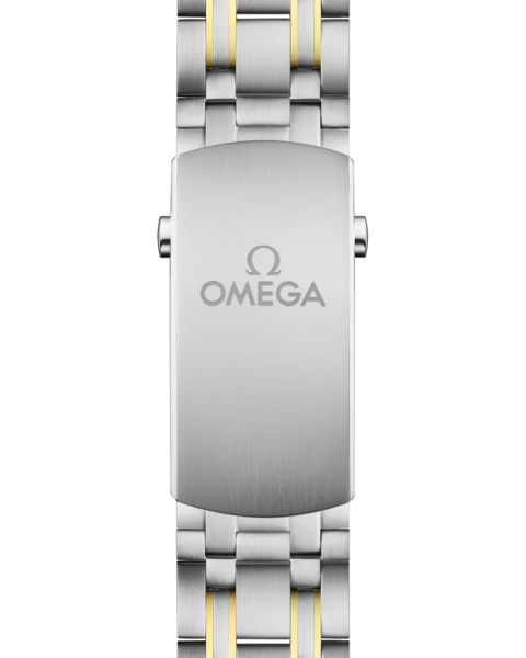 Omega Seamaster Diver 300M 210.20.42.20.01.002