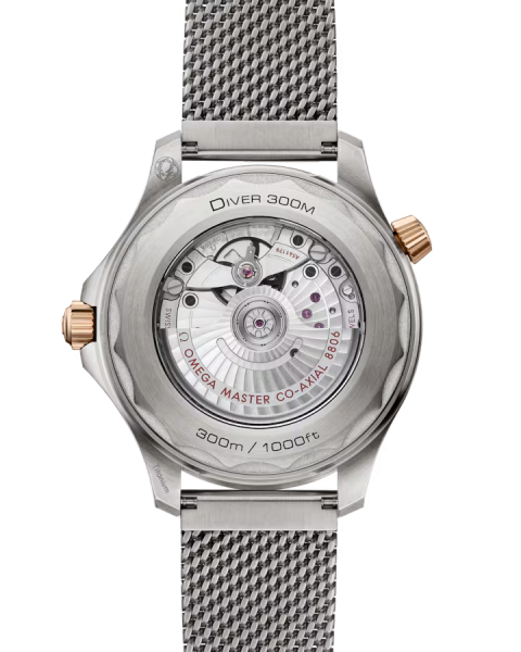 Omega Seamaster Diver 300M 210.90.42.20.10.001