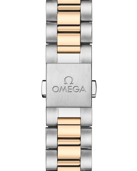 Omega Seamaster Aqua Terra 150M 220.25.30.20.55.001